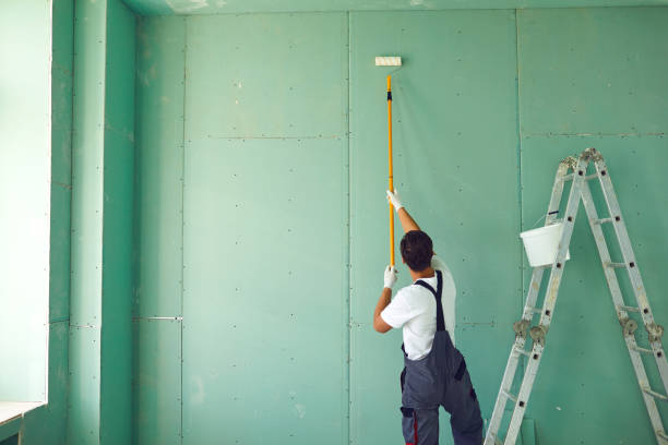 Best Mold Removal for HVAC Installations  in Cohoe, AK