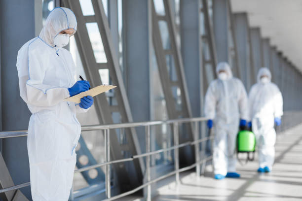  Cohoe, AK Mold Removal Pros