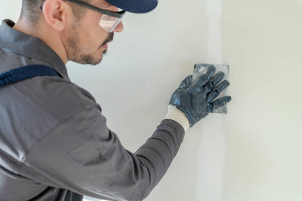 Best Emergency Mold Remediation  in Cohoe, AK