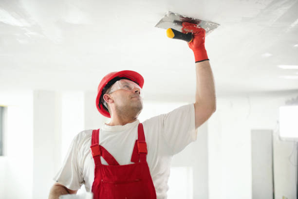Best Forensic Mold Investigation  in Cohoe, AK