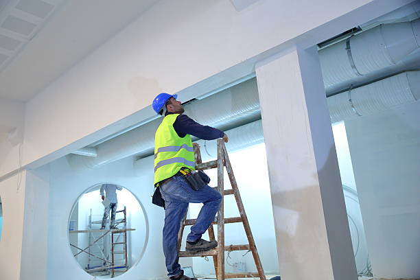 Best Biohazard Mold Removal  in Cohoe, AK