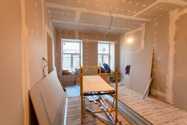 Best Environmental Consulting for Mold Prevention  in Cohoe, AK