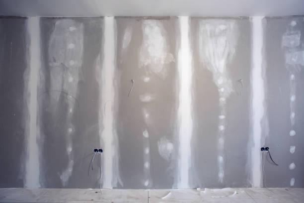 Best Mold Odor Removal Services  in Cohoe, AK