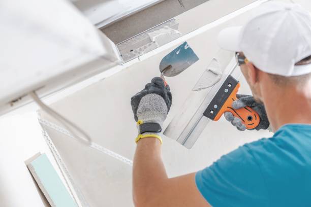 Best Dehumidification Services  in Cohoe, AK